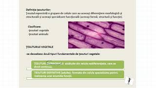 ŢESUTURILE VEGETALE