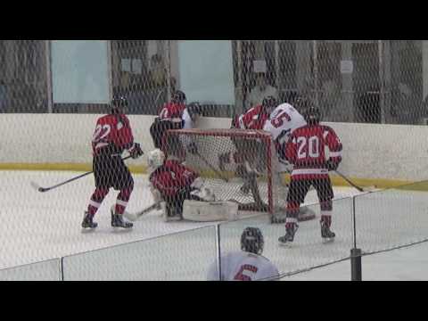 #20 Anderson Goal vs. Vs Lansing Catholic