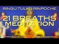 21 BREATHS • Meditation • Ringu Tulku Rinpoche