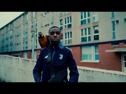 YOKO - Sativa 2 (Clip Officiel)