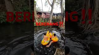 Download lagu Berenang‼️ #shortsvideo #funny #pokemon mp3 Download lagu Berenang‼️ #shortsvideo #funny #pokemon mp3
