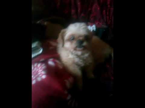 2 de octubre de 2017