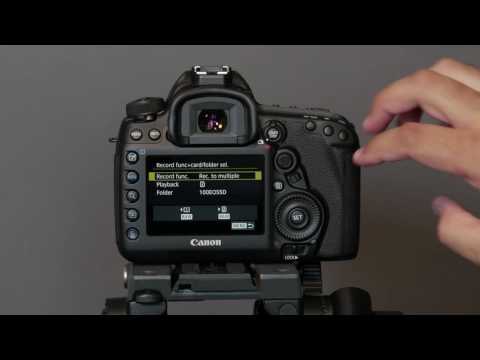 How I Set Up the Canon 5D Mark IV DSLR for Photography