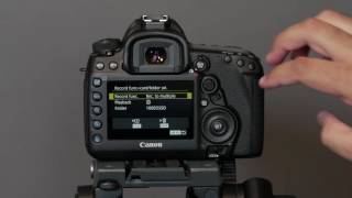 Video thumbnail for How I Set Up the Canon 5D Mark IV DSLR for Photography by Dan Watson