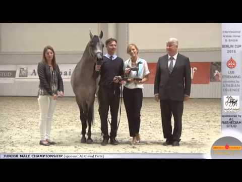 Third place Berlin Cup Werder 2015 - Junior Stallion Championship (Class 18) - N.35 ETERNIS