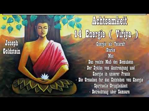 Achtsamkeit 14: Energie ( Viriya ) - Joseph Goldstein
