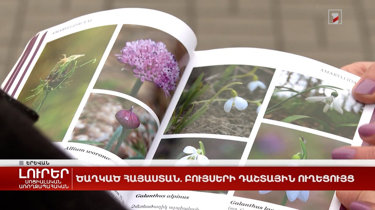 Ծաղկած Հայաստան. բույսերի դաշտային ուղեցույց