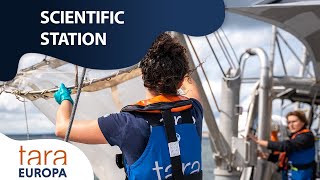 Find out how the scientific stations on board Tara are organized | Tara Europa