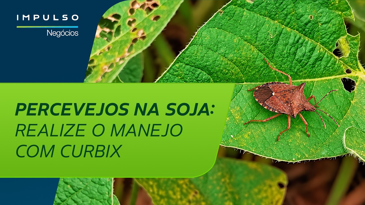Proteja sua soja com Curbix | Impulso Negócios
