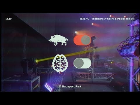 JETLAG ✈️ Vaddisznó (Soerii & Poolek remake)