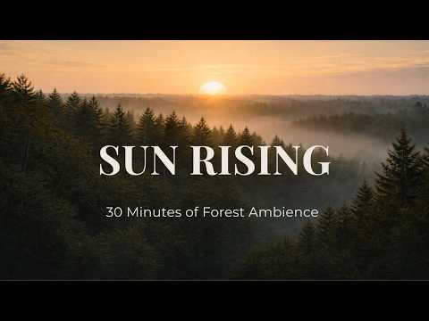 Sun Rising | 30 Minutes of Orchestral Forest Ambient Music