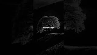 Download lagu Ricky Montgomery - Line Without a Line lyrics whatsapp status aesthetic DR - Edit I slowed speed up mp3 Download lagu Ricky Montgomery - Line Without a Line lyrics whatsapp status aesthetic DR - Edit I slowed speed up mp3