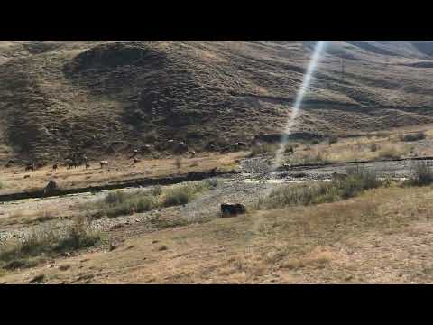 UĞUR ÇAĞLARA KIRGINLIĞIMIN SEBEBİ BU