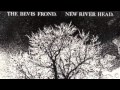The Bevis Frond :  Down In The Well