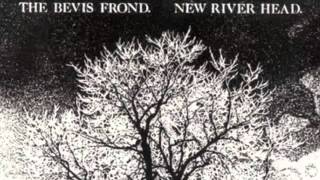 The Bevis Frond :  Down In The Well