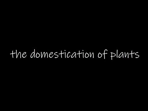 the domestication of plants