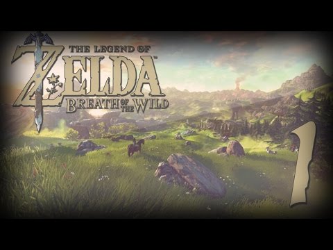 FUCK YEAH! ENDLICH! - TLoZ Breath of the Wild (Switch) |1| [Deutsch]