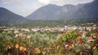 preview picture of video 'Strade di Vini - ricreazione del paesaggio rurale'