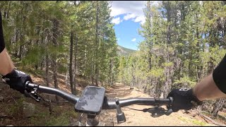 Hicks Mountain - peaceful deep woods workout - Evergreen - Colorado