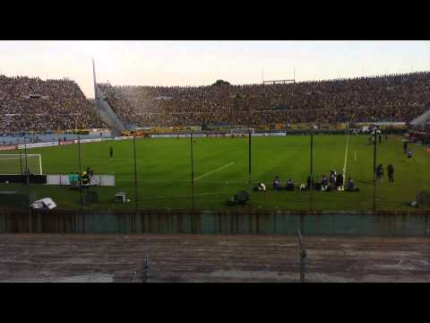 "Hinchada de Peñarol desde tribuna de Estudiantes(1)" Barra: Barra Amsterdam &bull; Club: Peñarol
