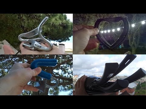 Vulgar Display of Vegan Power - Humans Are Capable of Extraordinary Things (Gonçalo Ferreira)