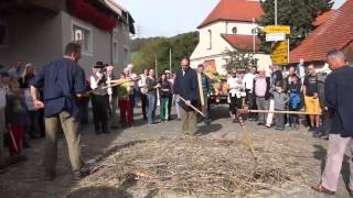 preview picture of video 'Drusch mit Dreschflegel 1200 Jahrfeier Birndorf Erntedank'