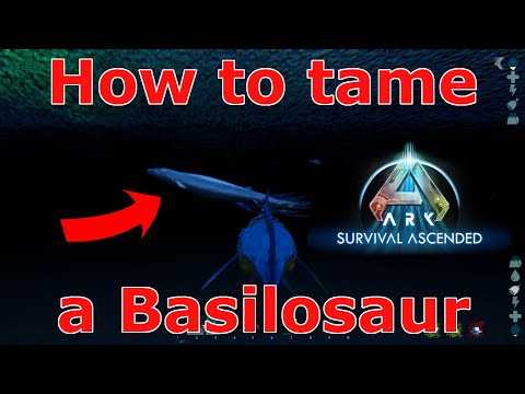 Ark Survival Ascended Basilosaurus taming, Ark How to tame a Basilosaurus, ASA best water tames