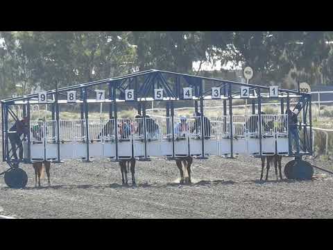 MALDITA PEKE-RADA TILLY-14/04/2019