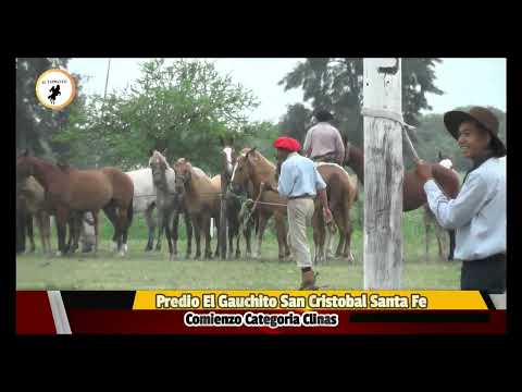 EL TAPECITO San Cristobal Predio El Gauchito 7/12/2025