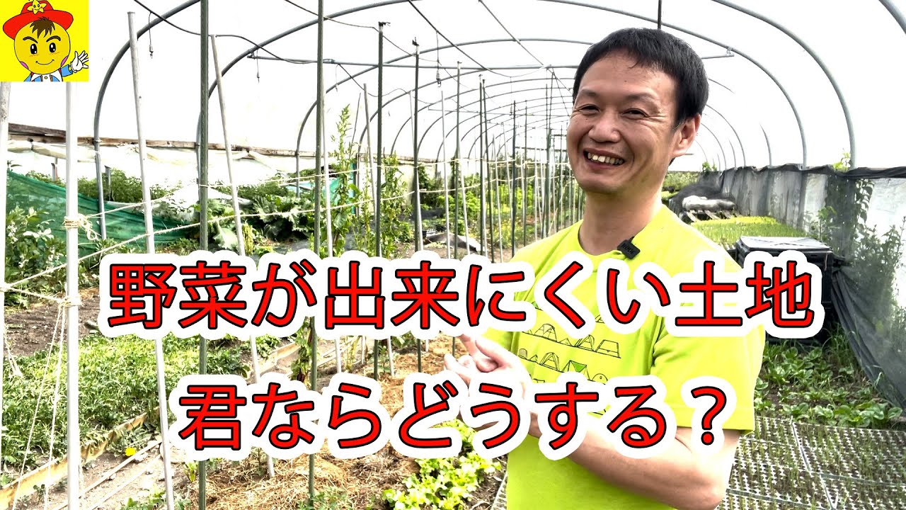 自然栽培の土改善と鳥獣害対策