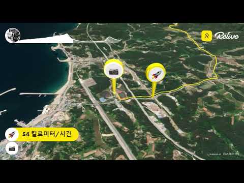 relive 2022-0408 scalpel-si