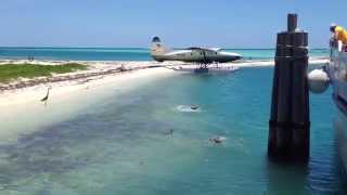 preview picture of video 'Fort Jefferson & Dry Tortugas: Pelicans Diving'