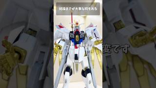 結論までが大事な時もある #gundam #gunpla #ガンプラ #ガンダム #ガンダムseed #short #shorts