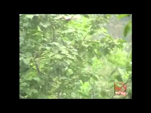 Mahmut Turan - Nanni Nanni (Resmi Video) (Tulum) ✔️