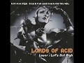 LET'S GET HIGH & HAVE FUN - Lords of Acid  (Rob Swift's Reach Out and Touch the Sky Mix)