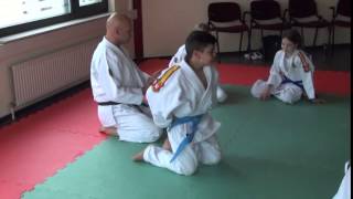 preview picture of video 'Autisme judo demonstratie de schakel 5 april 2014'