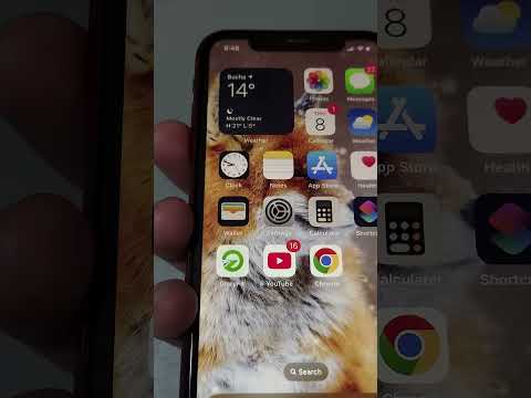 How to Set the Volume Buttons to Control Ringer and Alerts on iPhone?