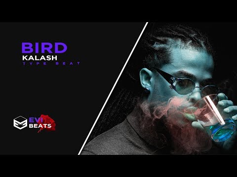 Kalash Type Beat 2018 "Bird" | Rap/Trap Instrumental | Evi Beats