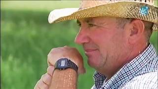 La Cabra Murciano Granadina en las Subbéticas