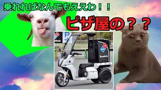 【猫ミーム】占い師ツーリング参戦！！【実写】
