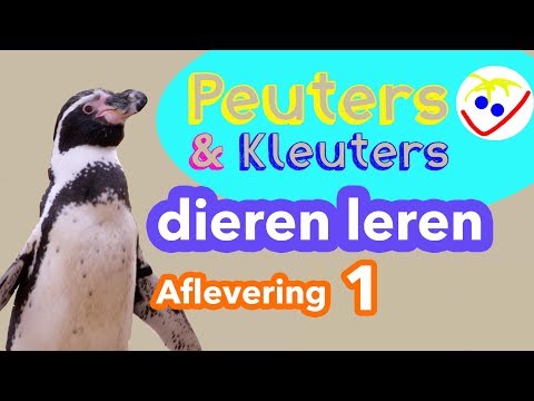 download lagu mp3 mp4 Namen Voor Dieren, download lagu Namen Voor Dieren gratis, unduh video klip Namen Voor Dieren