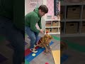 This Is A Day I Will Never Forget Mysterreader Dogmom Teacher