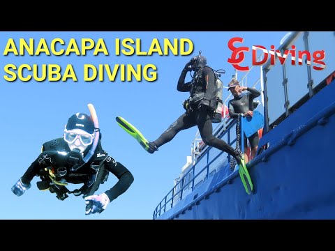 SCDiving | Scuba Diving Anacapa Island with Open Water Divers