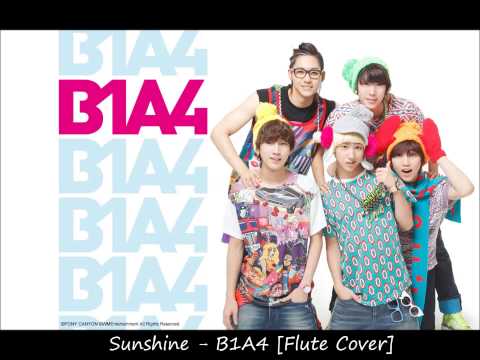 Sunshine - B1A4 - [Flute Cover]