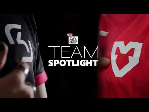 MOUZ vs. SK GAMING PRIME - Wer holt sich das Topspiel? | La Mia Grande Team Spotlight
