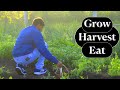 Kathiyawadi Breakfast Nikunj Vasoya Best Ever Cooking Show S4E4 Indian Village Cooking
