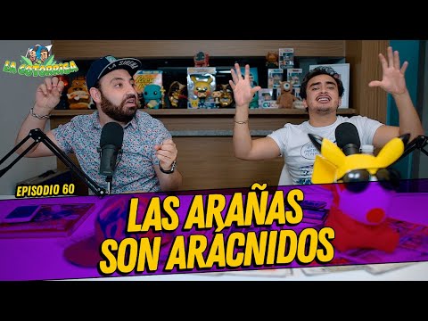 La Cotorrisa - Episodio 60 - Las arañas son arácnidos