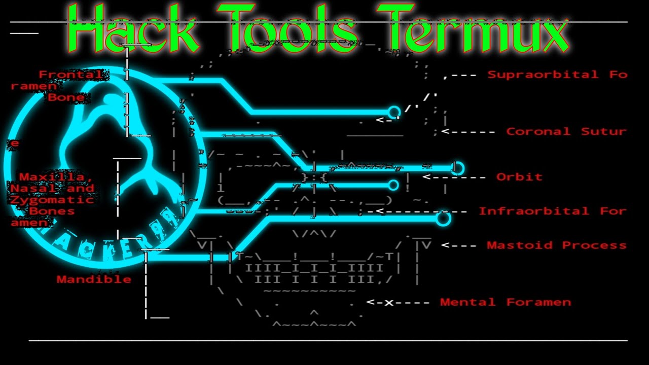 hack tools termux , install FotoSploit via termux