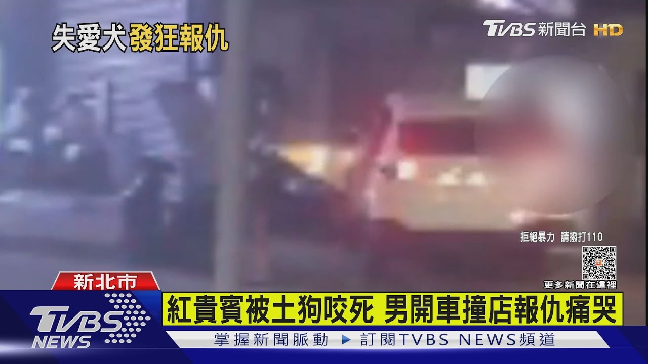 紅貴賓被土狗咬死 男開車撞店報仇痛哭
