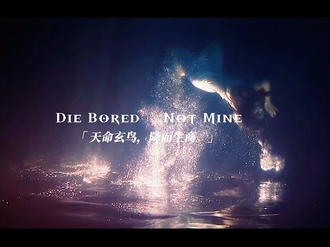 若宿命感拉满!【祖娅纳惜】玄鸟（原唱：萨吉）